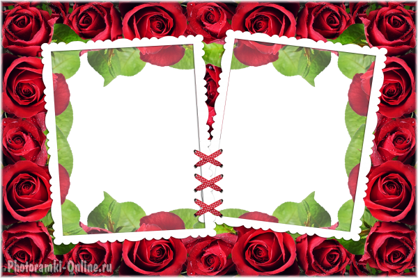 рамка два фото розы