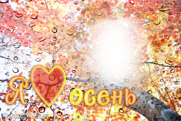 Фотоэффект капли дождя люблю осень