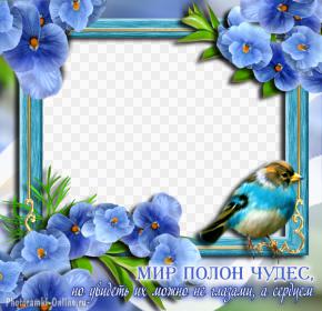 рамка голубые цветы птица надпись чудо
