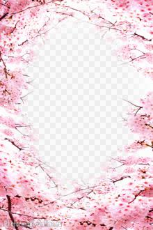 фотоэффект среди весенних цветущих деревьев