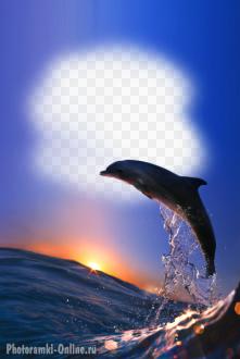 фотоэффект море дельфин закат брызги