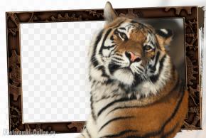 рамка онлайн с тигром