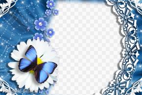 рамка с ромашками и бабочкой голубая