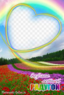 фотоэффект поле цветов радуга и сердце