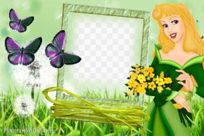 рамка принцесса бабочки Дисней