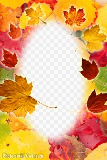 фотоэффект с листьями осенью