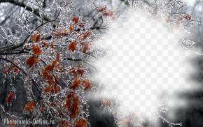 фотоэффект осеннее дерево во льду