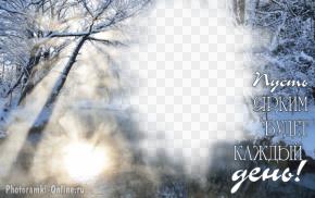 фотоэффект зима лес озеро солнце