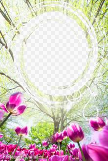 фотоэффект весна деревья тюльпаны