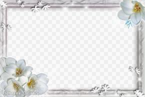 рамка белые цветы