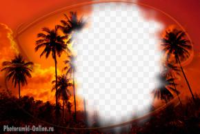 рамка лето пальмы небо солнце тропики