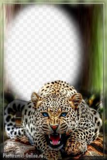 рамка для фото с леопардом
