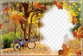 рамка парк осенние листья велосипед