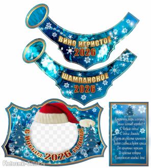 Новогодняя этикетка с фото для шампанского или вина с шапочкой Санты и снежинками