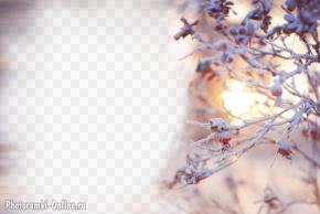 фотоэффект зима закат ветки