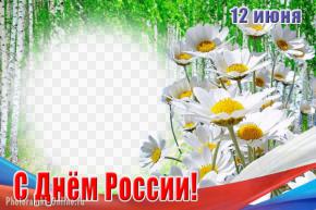 Рамка для фото ко Дню России, ромашки, березы