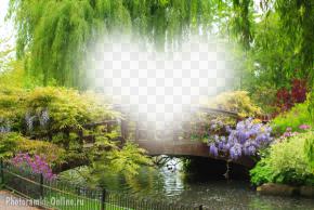 фотоэффект волшебный сад
