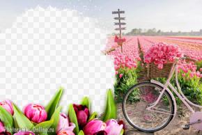 Женский фотоэффект с тюльпанами онлайн. Нидерланды.