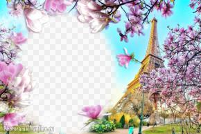 Стильный фотоколлаж с цветами магнолии и Эйфелевой башней