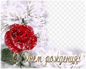 Рамка для фото на День рождения с красной розой, сделать онлайн