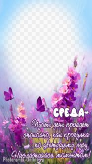 рамка с пожеланием хорошей среды на фоне летних цветов на лугу