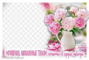 Рамка с пионам и добрыми словами о теплых мгновениях