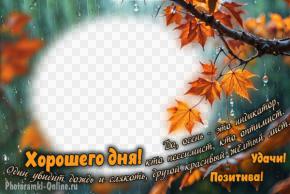 Осенняя рамка с кленовыми листьями и текстом про оптимизм