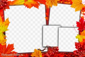 Фоторамка на 4 снимка с разноцветными осенними листьями и гроздьями рябины