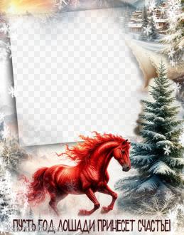 рамка для фото с красивой лошадью и заснеженной природой