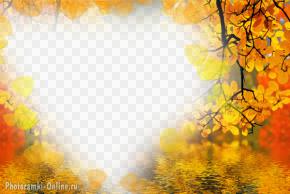 фотоэффект осенние листья лучи солнца