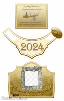 Красивая этикетка на шампанское 2024 с деньгами, вставить фото