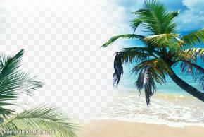 фотоэффект море пальмы пляж