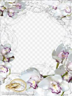 рамка свадебная жемчуг орхидеи