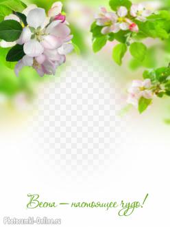 фотоэффект весна цветы яблони