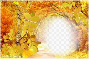 фотоэффект золотой осенний лес
